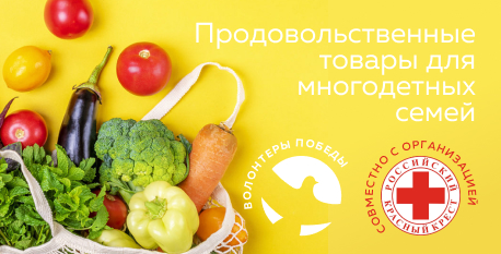 Помощь многодетным семьям